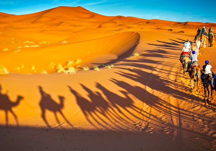 Camel Tour in MAROCCO